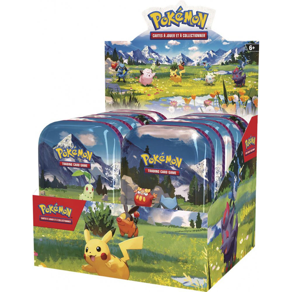 Jeu de Cartes Pokémon - Mini-Tin - Display de 10 Min-Tin ME2.5 Méga Evolution : Héros Transcendants