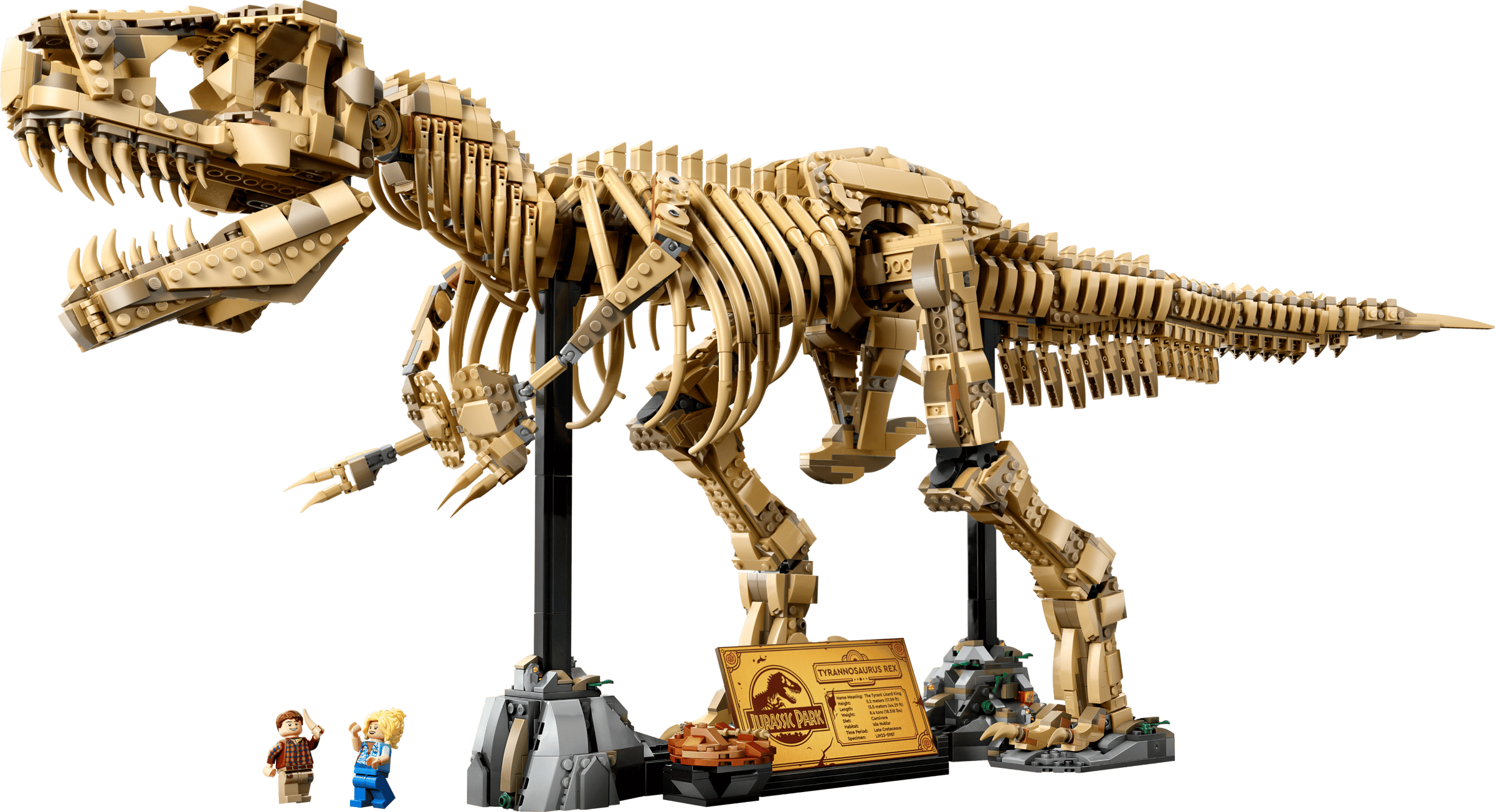 LEGO - Les fossiles de dinosaures : le Tyrannosaurus rex