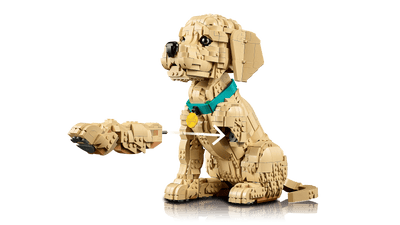 LEGO - Le chiot Golden Retriever